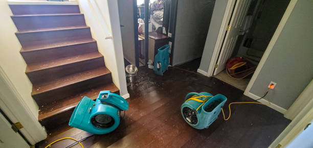 Best Water damage mitigation services  in Southport, CT