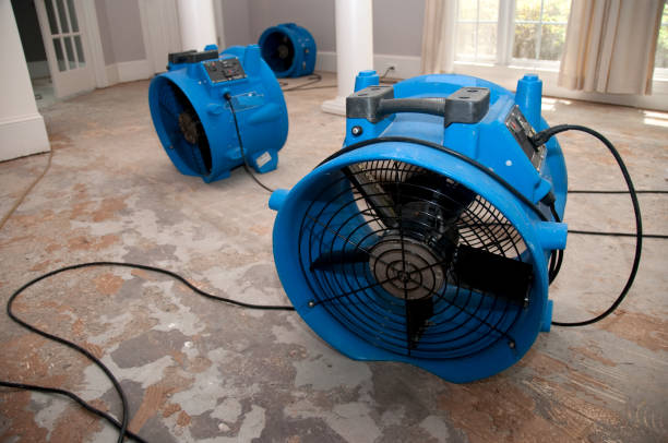 Best Water damage restoration near me  in Southport, CT