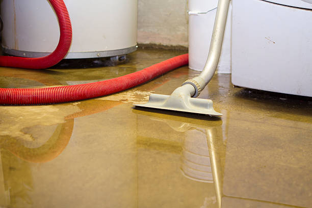 Trusted CT Water damage restoration Experts