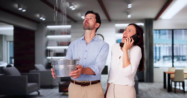 Best Mold removal after water damage  in Southport, CT